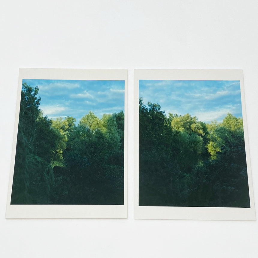 In Our Nature, Special Edition, Takashi Homma, (ホンマ タカシ)