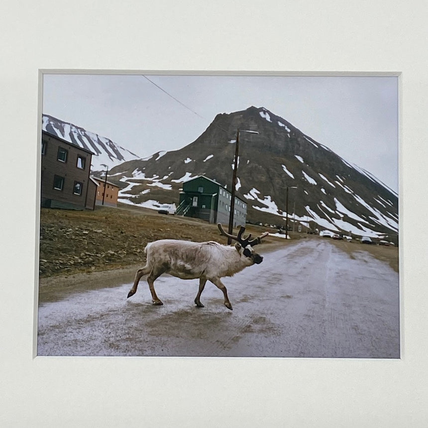 Svalbard<br />Special Edition<br />Naoki Ishikawa<br />(石川直樹)