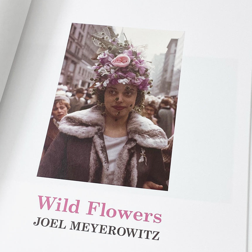 Wild Flowers<br />Joel Meyerowitz